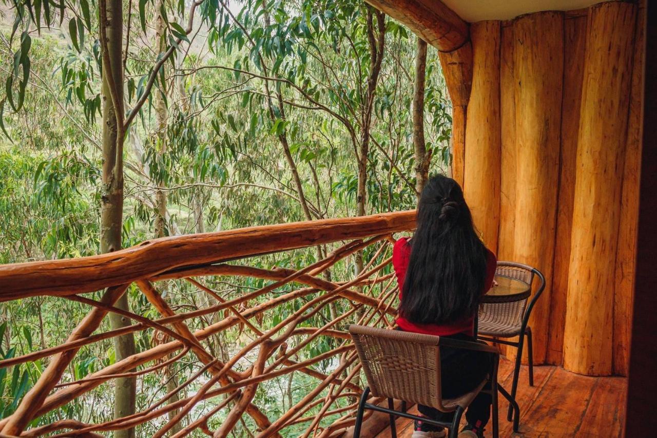 Eco Quechua Lodge سانتا تيريزا المظهر الخارجي الصورة