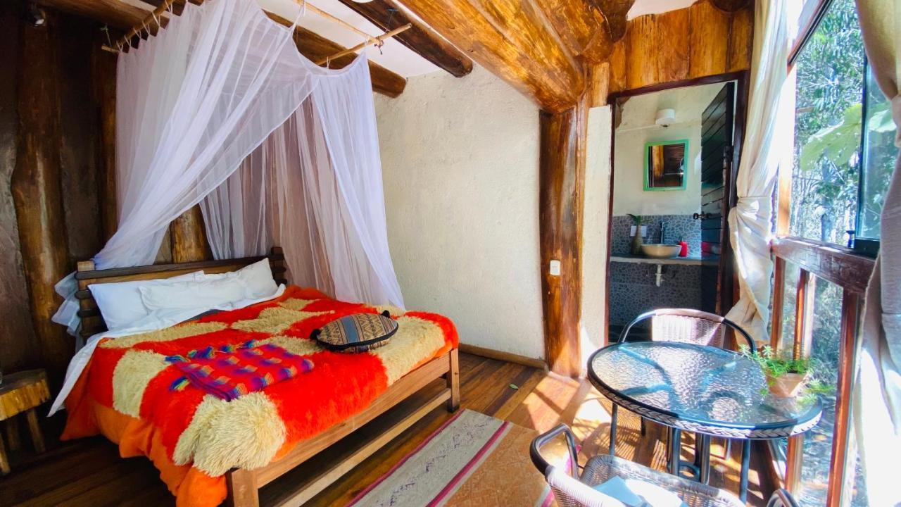 Eco Quechua Lodge سانتا تيريزا المظهر الخارجي الصورة